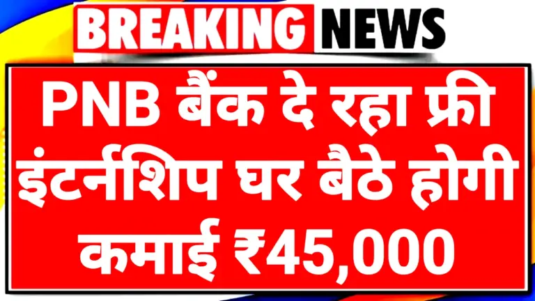 PNB Free Internship Scheme 2025